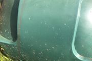 oil tank free