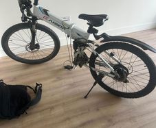 Electric bike