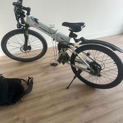 Electric bike
