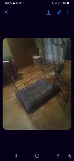 Large Dog Cage With Bed.