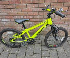 20 Inch Team Mountain Bike