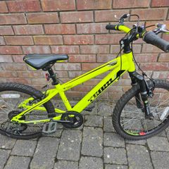 20 Inch Team Mountain Bike