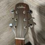 Guitar Image 2