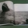 Warships, U-Boats & Liners A guide to shipwrecks mapped in Irish waters Ireland Image 9