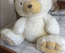 teddy bear