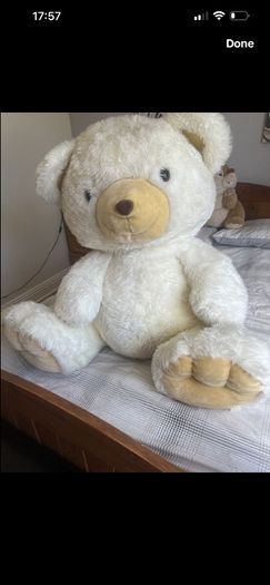 teddy bear