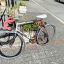 Raleigh bicycle Image 2