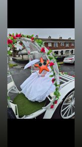 Communion dress from fairy godmother