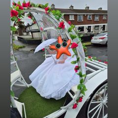 Communion dress from fairy godmother