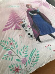 Frozen Duvet Cover and Pillowcase Set with zip