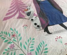 Frozen Duvet Cover and Pillowcase Set with zip