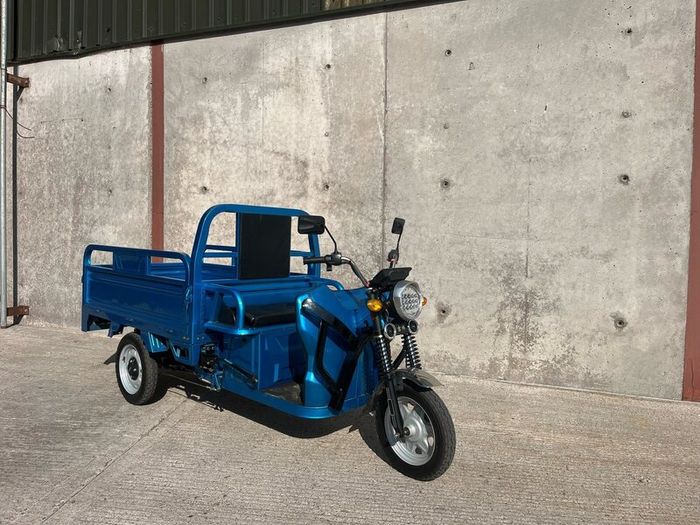 3 wheeled 24 volt electric mobility scooter tuktuk