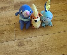 Pokemon teddies