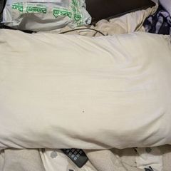 pillow