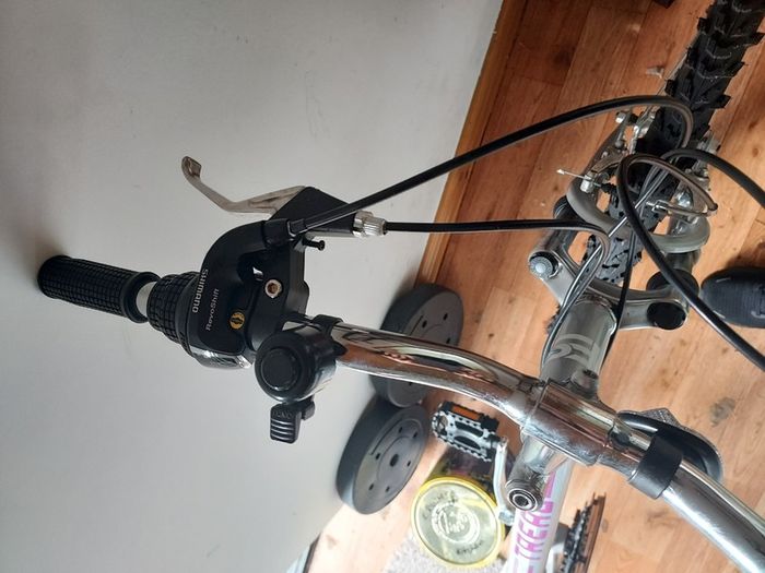Trek mountain bike