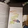 Eheim 160 pick up filter, stones and aquarium book.. Image 8