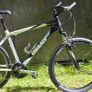 Giant Rincon     Size M. Image 2