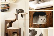 New Medium Cat Tower Play Area - FREE Delivery