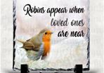 Robins Appear Slate