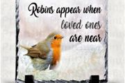Robins Appear Slate
