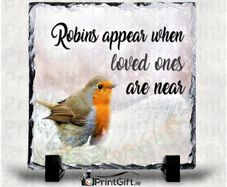 Robins Appear Slate