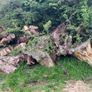 firewood Image 2