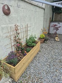 planters custom (Free delivery)