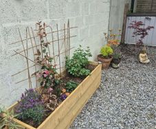planters custom (Free delivery)