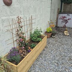 planters custom (Free delivery)