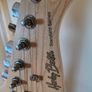 Harley Benton guitar ST-20 WH Standard Series + Harley Benton HB-10G Amp + Thomann bag + stand Image 6