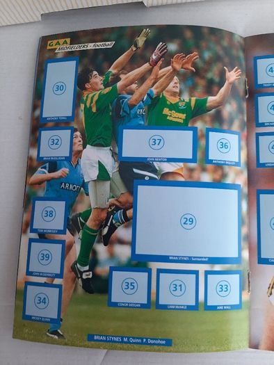 1994 GAA memorabilia