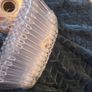 wedding ribbon (with free gift) Image 4