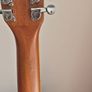 Tanglewood 12 String Image 8