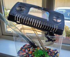 Fish Tank