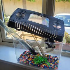 Fish Tank