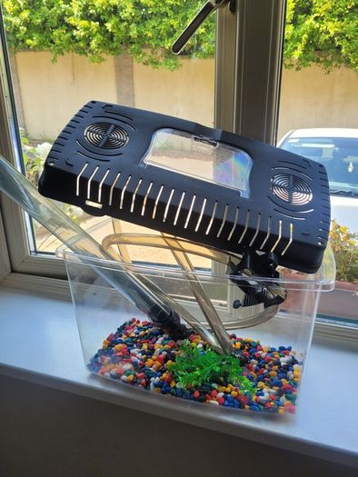 Fish Tank