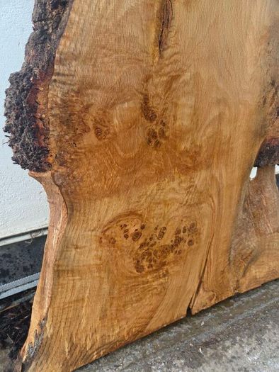 Live Edge Oak Wood Slab Burl