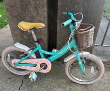 Girls bike - Raleigh