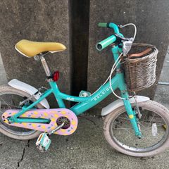 Girls bike - Raleigh