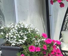 window box