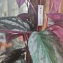 lovely artifical plant Image 3