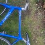 trek bike Image 5