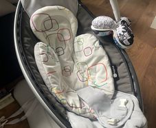 Mamaroo Baby Bouncer