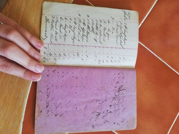 antique ledger 1873