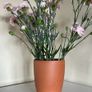 Garden pots and food dishes Image 7