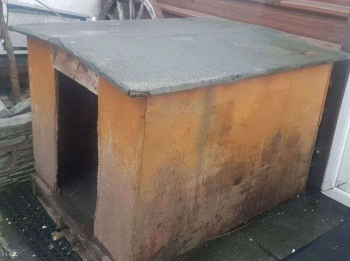 Dog Kennel