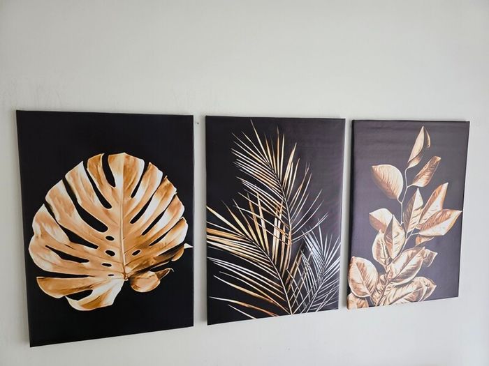 3 framed printed canvas 45x65cm
