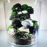 Forest in the jar 2 - H30cm x W25cm Image 2