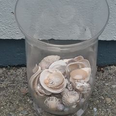 25 cm Tall Glass Container/Shells