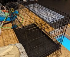 XL Pet Crate/Dog Cage